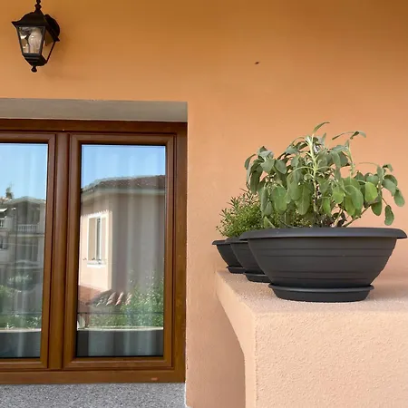 Apartament Olbios Olbia